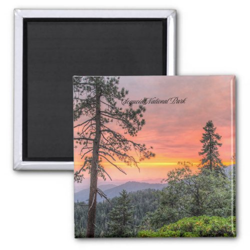 Sequoia National Park California Magnet