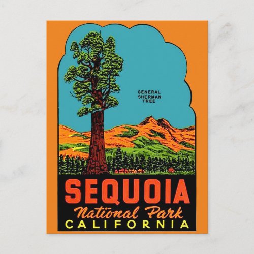 Sequoia National Park California Postcard