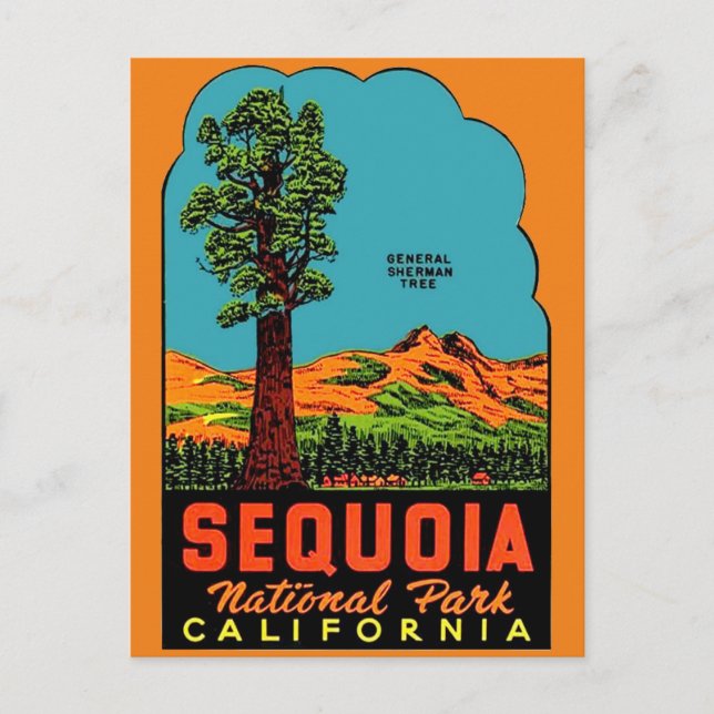 Sequoia National Park California Postcard (Front)