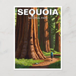 Sequoia National Park California Postcard