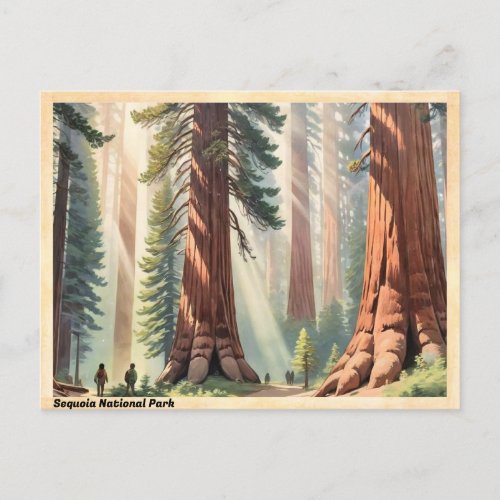 Sequoia National Park California Redwoods Vintage Postcard