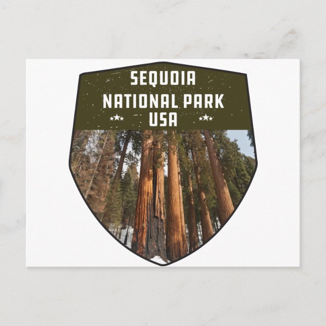 Sequoia National Park California sequoia trees Postcard (Front)