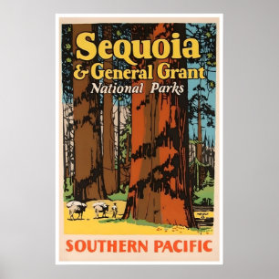 Sequoia National Park California Travel Poster