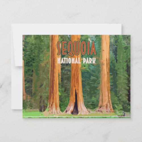 Sequoia National Park California Vintage Flat Card