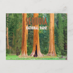 Sequoia National Park California Vintage Postcard