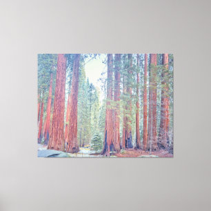 Sequoia National Park Canvas Print