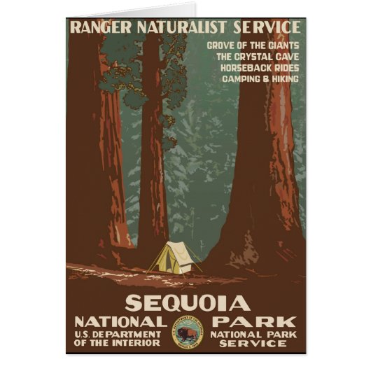 Sequoia National Park Cards (Front)