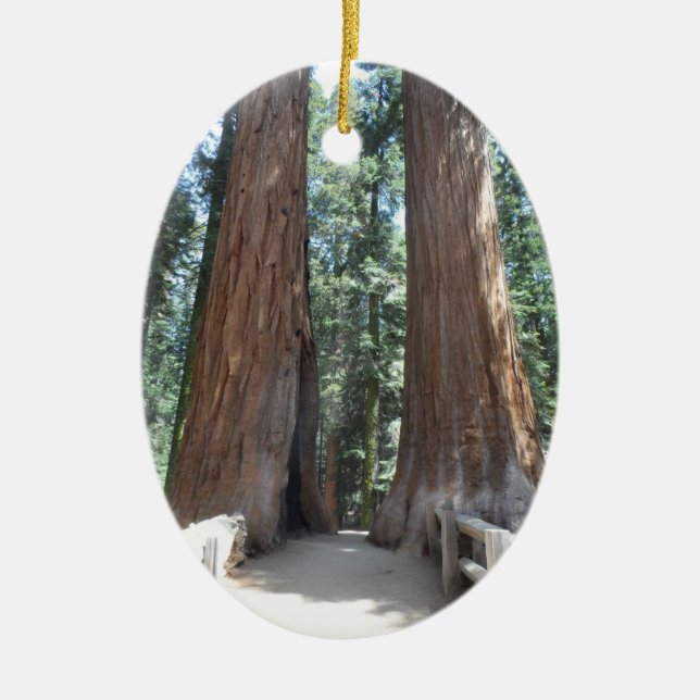 Sequoia National Park Ceramic Ornament (Front)