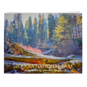 Sequoia National Park Forest Landscapes Calendar