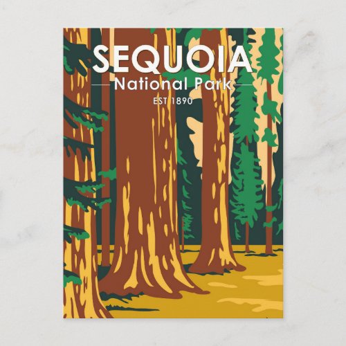 Sequoia National Park Giant Sequoia Trees Vintage Postcard