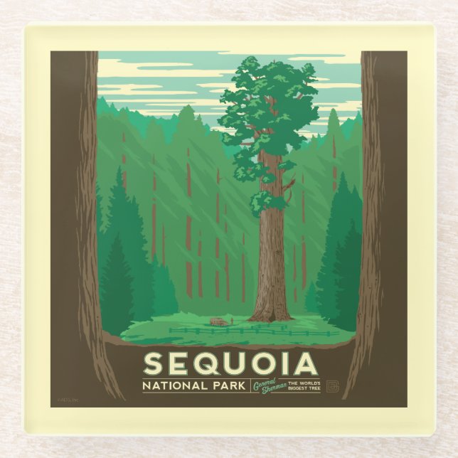 Sequoia National Park Glass Coaster (Front)