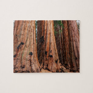 Sequoia National Park Jigsaw Puzzle