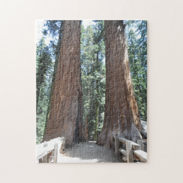 Sequoia National Park Jigsaw Puzzle (Vertical)
