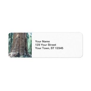 Sequoia National Park Label
