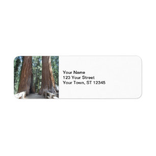 Sequoia National Park Label