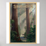 Sequoia National Park Litho Artwork Poster