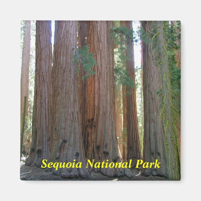 Sequoia National Park magnet (Front)