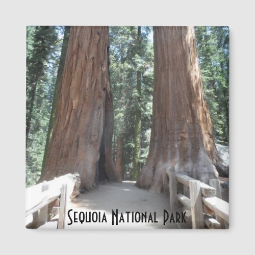 Sequoia National Park Magnet