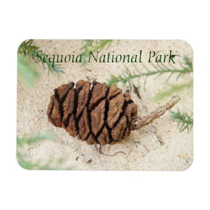 Sequoia National Park Magnet