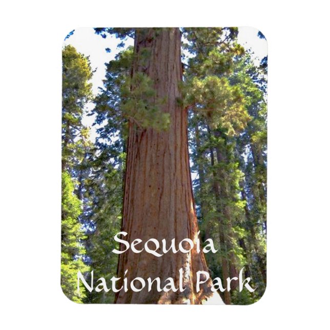Sequoia National Park Magnet (Vertical)