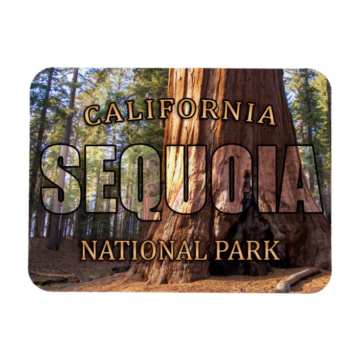 Sequoia National Park Magnet \u2014 Collectible Colorful & Waterproof! Sequoia National Park Magnet \u2014 Collectible Colorful & Waterproof!