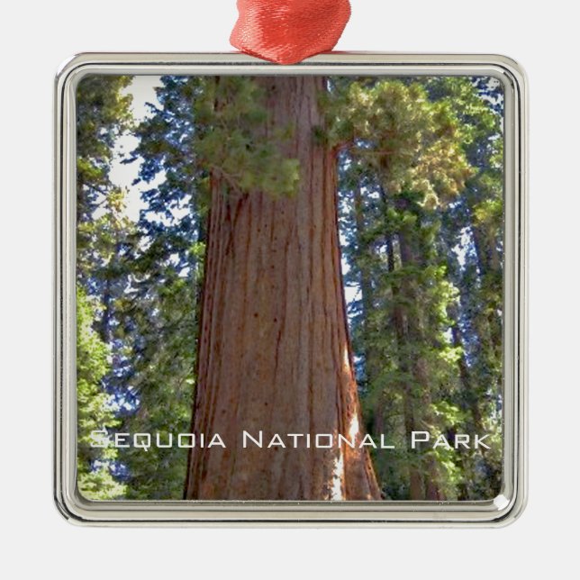 Sequoia National Park Metal Ornament (Front)