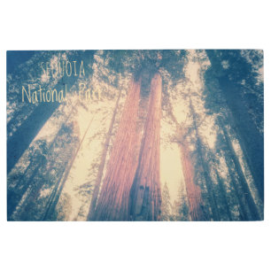 Sequoia National Park Metal Print