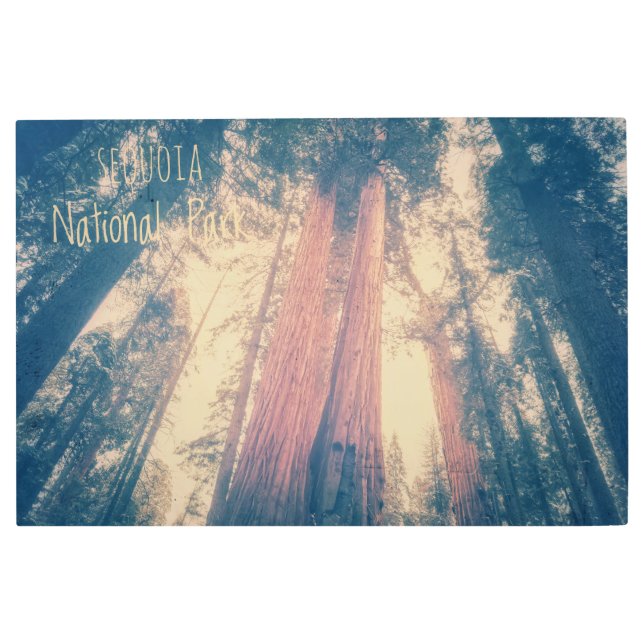 Sequoia National Park Metal Print (Front)