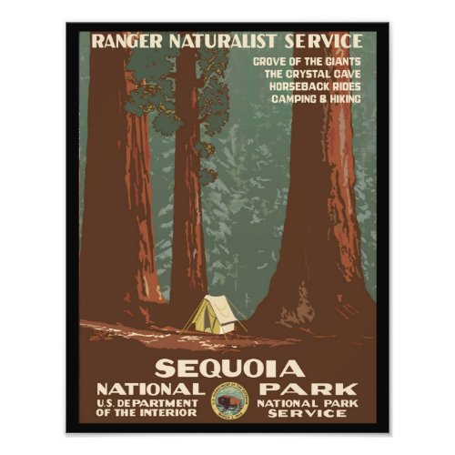 Sequoia National Park Photo Print