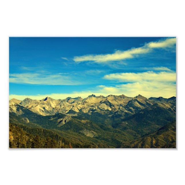 Sequoia National Park  Photo Print (Front)