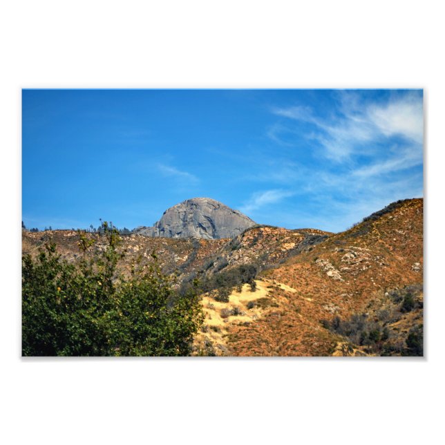 Sequoia National Park Photo Print (Front)