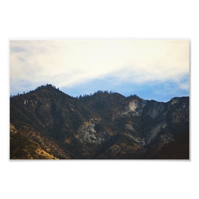 Sequoia National Park Photo Print (Front)