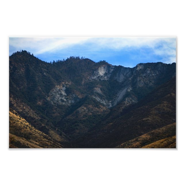 Sequoia National Park  Photo Print (Front)