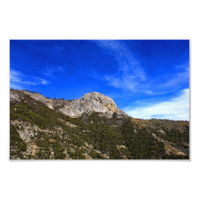 Sequoia National Park Photo Print (Front)