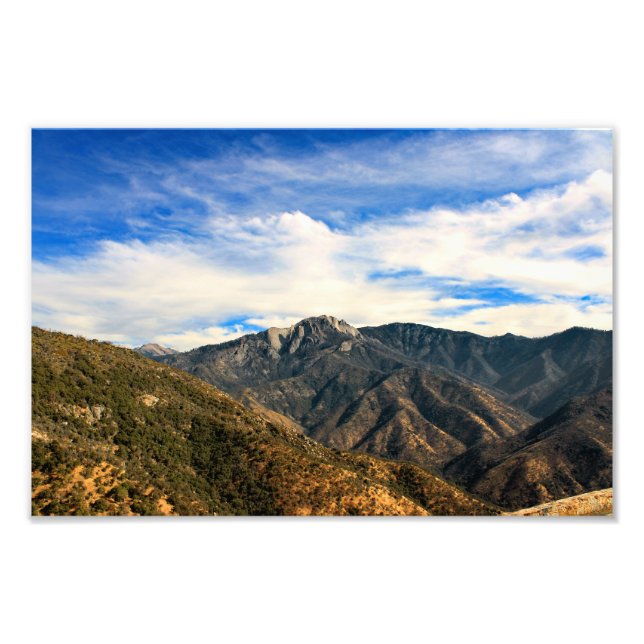 Sequoia National Park Photo Print (Front)