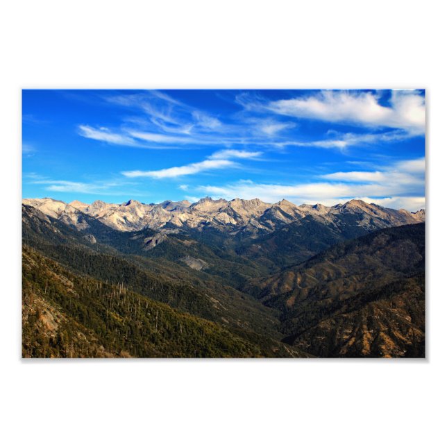Sequoia National Park Photo Print (Front)