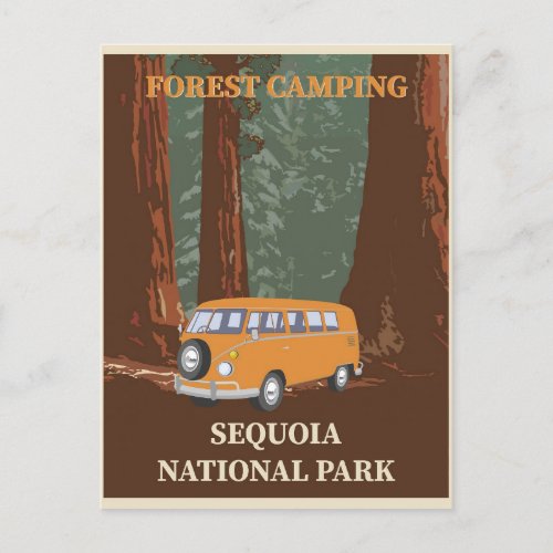 Sequoia National Park  Postcard