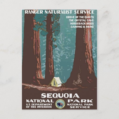 Sequoia national park postcard