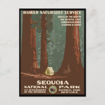 Sequoia National Park Postcard by Crazy4FamousArt at Zazzle