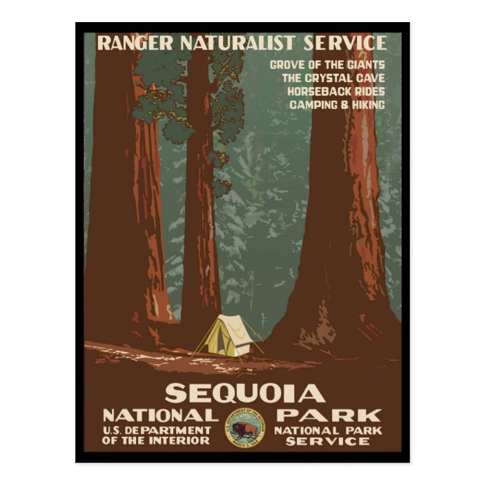 Sequoia National Park Postcard | Zazzle.com