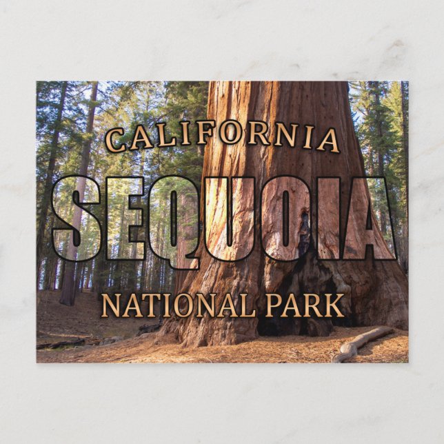 Sequoia National Park Postcards (Front)