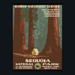 Sequoia National Park Poster<br><div class="desc">Sequoia National Park - WPA Vintage Poster.
You can personalize the design further if you'd prefer, such as by adding your name or other text, or adjusting the image - just click 'Customize' to see all the options.</div>