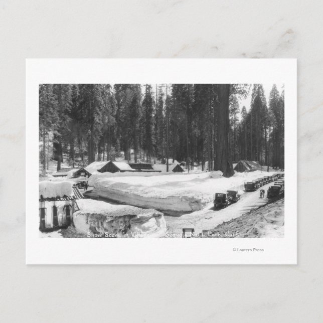 Sequoia National Park Snow Scene in Village Postcard (Front)