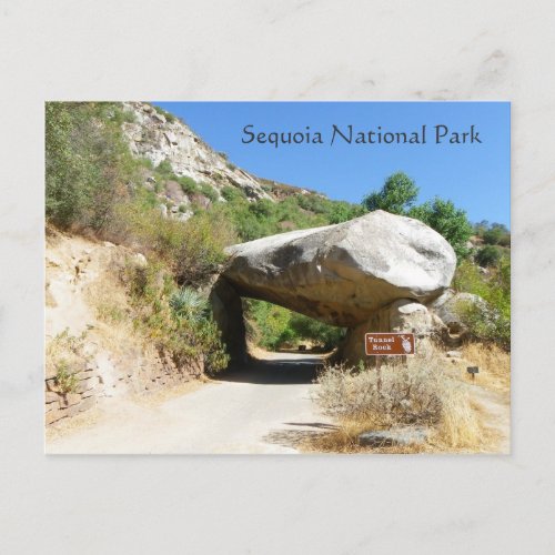 Sequoia National ParkTunnel Rock Postcard Postcard