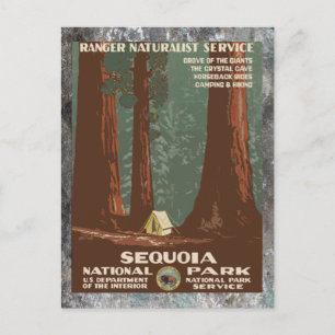 Sequoia National Park Vintage travel Postcard