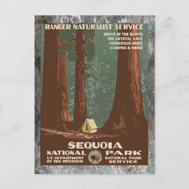 Sequoia National Park      Vintage travel Postcard (Front)