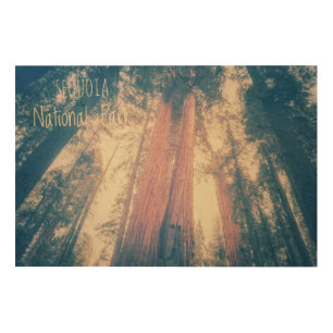 Sequoia National Park Wood Wall Art