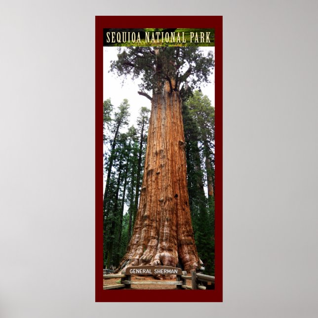 SEQUOIA NAT'L PARK-California-General Sherman- Poster (Front)
