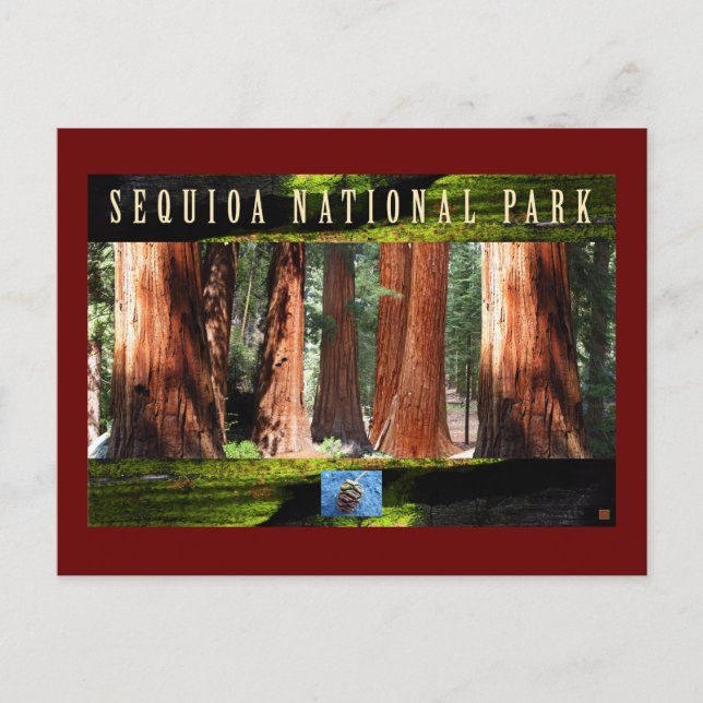 SEQUOIA NAT'L PARK-California-The Giants Postcard (Front)