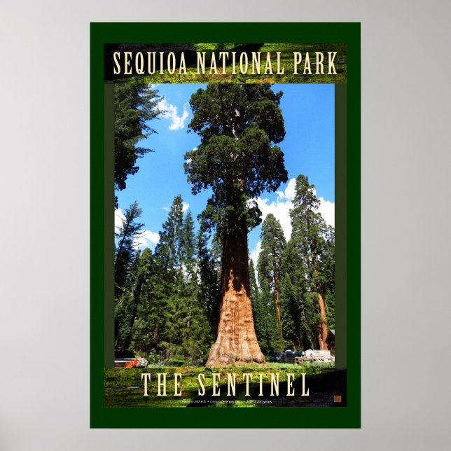 SEQUOIA NAT'L PARK-California-The Sentinel- Poster (Front)